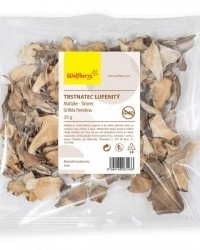 trstanec lupenitý /Maitake/ 20 g